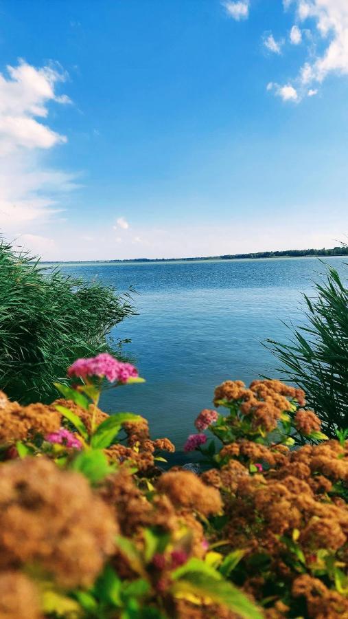 Madagascar Apartman Keszthely Bagian luar foto
